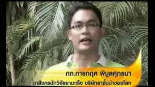 Agel thailand business opportunity