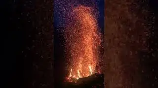 Огненные мотыльки