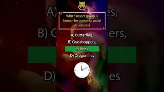 Which Insect Group Has Complex Social Structures? | The Animal Explorer #shorts