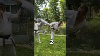 FAKE + USHIRO MAWASHI #aleksandreremenko #kyokushin #iko #top #like #videoeremenko #tutorials #kick