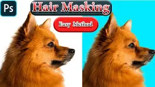 Best Technique For Hair Masking Using In Photoshop 2021 Or Photoshop 2022 Or Photoshop 2023