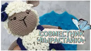Отчёт по СП 