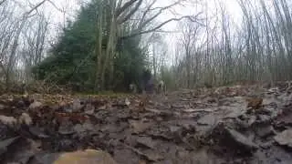 Pack Walks Feb 13th