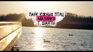 Южный парк птиц Малинки (рядом с г. Шахты)