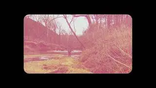 Anjimile - Point of View (Official Visualizer)