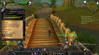 WoW Classic HC Private server. p3