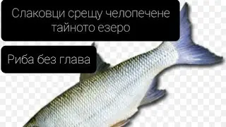 Слаковци срещу челопечене част 3 VLOG Тайното езеро