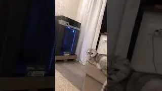 Незаменимый Оператор 3д принтера #shorts