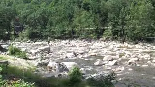 Loon zipline