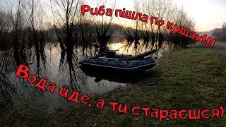 Десна дарує емоції! Крайня риболовля на спінінг цієї зими! Чернігівщина!
