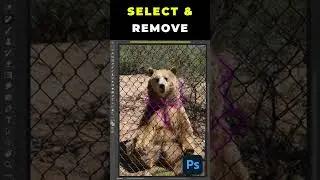 POWER OF THE REMOVE TOOL IN PHOTOSHOP
