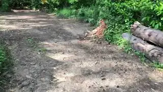 LA TREILLE seconde partie
