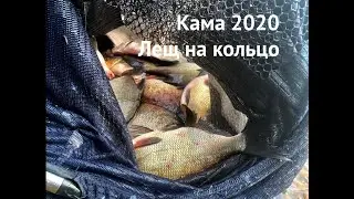 Рыбалка на леща! Ловим на кольцо с прикормом! Июль 2020