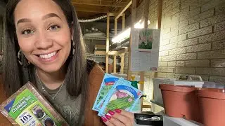 Starting A Container Gardening On A Budget | Dollar Tree
