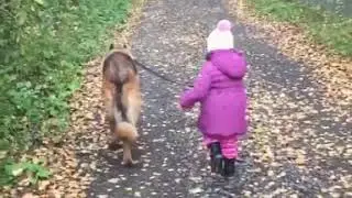 Когда пёс выгуливает хозяйку 😂