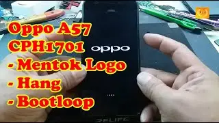 Oppo A57 CPH1701 mentok sampai Logo saja