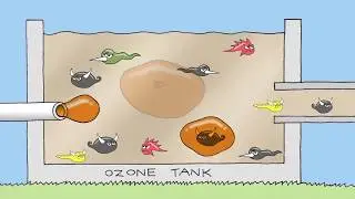 Tertiary treatment of sewage at the Eastern Treatment Plant - Melbourne Water