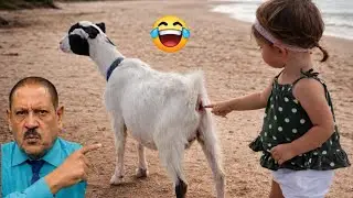 TRY NOT TO LAUGH 😆 Best Funny Videos Compilation 😂😁😆 Memes PART 8