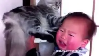 Смешные животные и дети.