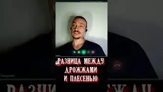 Разница между дрожжами и плесенью