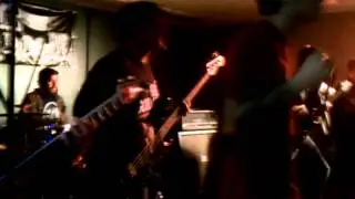 Lions Amongst Wolves LIVE