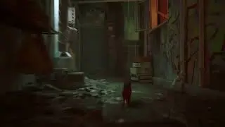 Stray - The Adventures of Frodo - pt 2