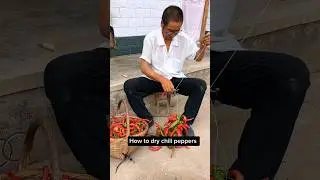 Methods To Dry Chili Peppers #agriculture #foodie