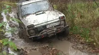 сафари 510 4