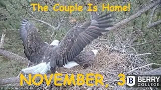 Berry College Eagles - 2024 November, 3 ❤️ The Couple Is Home. Good Luck U2!