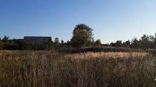 Поле как обычно)