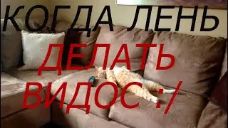 КОГДА ЛЕНЬ ДЕЛАТЬ ВИДОС :\