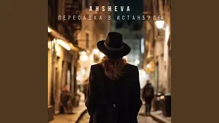 Пересадка в Истанбуле