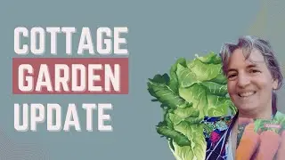 Garden Vlog , Dye Garden Update & Trip to the Garden Center