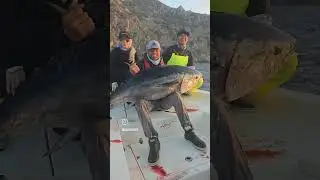 California Big Bluefin Tuna #BigTunaDreams