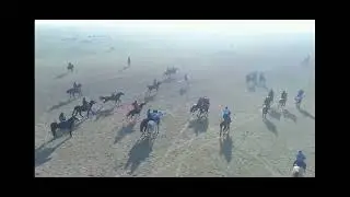 Бағылан араншы