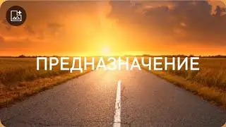 Предназначение  #психология #предназначение #женскийклуб