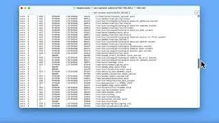 Synology NAS tips | 10 useful SSH terminal commands