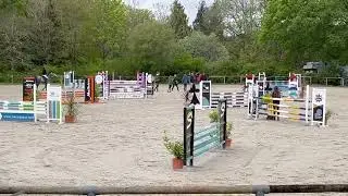 KINZA MAIL (ARMITAGES BOY x ESTELLA MAIL) - MERE DE OWAR MAIL