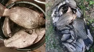 РЫБАЛКА В ПАРКЕ НА ФИДЕР