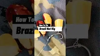 DIY Brazil Nut Rig: Step-by-Step Guide! 🎣 #Fishing #FishingRig #Shorts