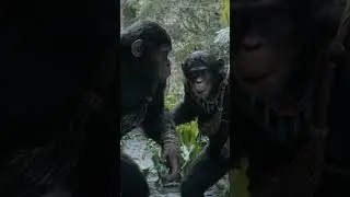 Maymunlar Cehennemi!!! #kingdomoftheplanetoftheapes #maymunlarcehennemi
