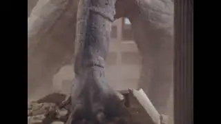 Kaiju "Zaza" Stomps the road and rubble! (Loop) (Read Description)