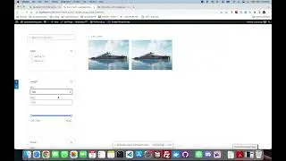 GN Accordion Animation Disabler Plugin Demo Video