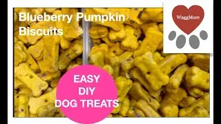 Homemade DIY Dog Treat Biscuits (Blueberry Pumpkin)