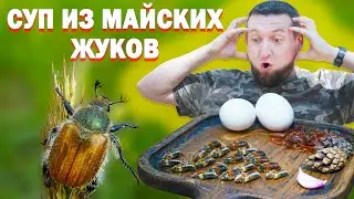 Суп из МАЙСКИХ жуков | Это вообще можно есть?!