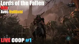 Lords of the Fallen MOD - Coop Live #1 avec @vollfield