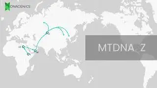 MTDNA Z - DNAGENICS