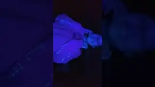 20 октября 2023 г.