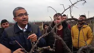 Asmada Budama Karışık Budama