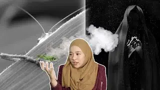 Kenapa Pelesit Menyamar Sebagai Belalang?